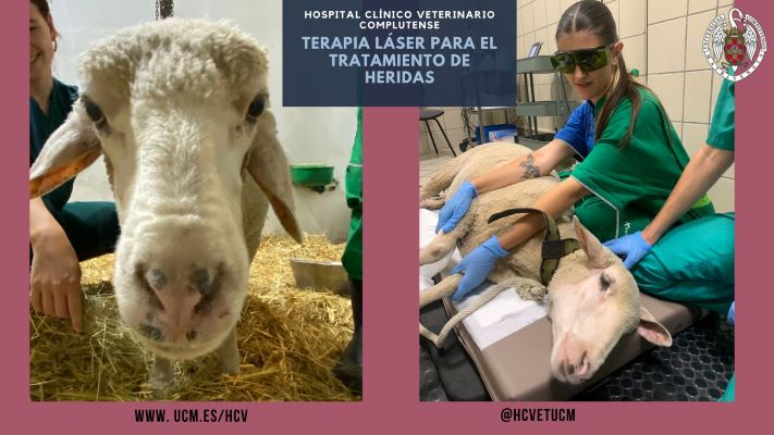 La terapia láser como complemento para el tratamiento de heridas